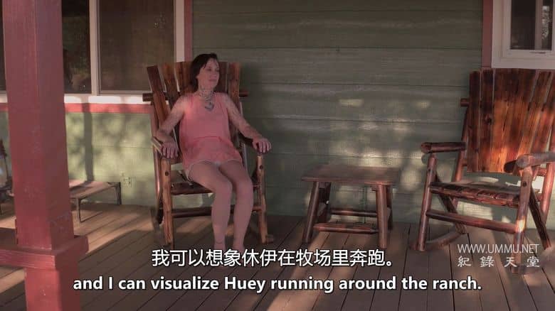 爱狗生活 Life Love Dogs插图6