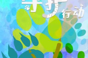 动物守护行动 2023