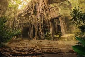 废弃建筑之谜 第11季全8集 Mysteries of the Abandoned