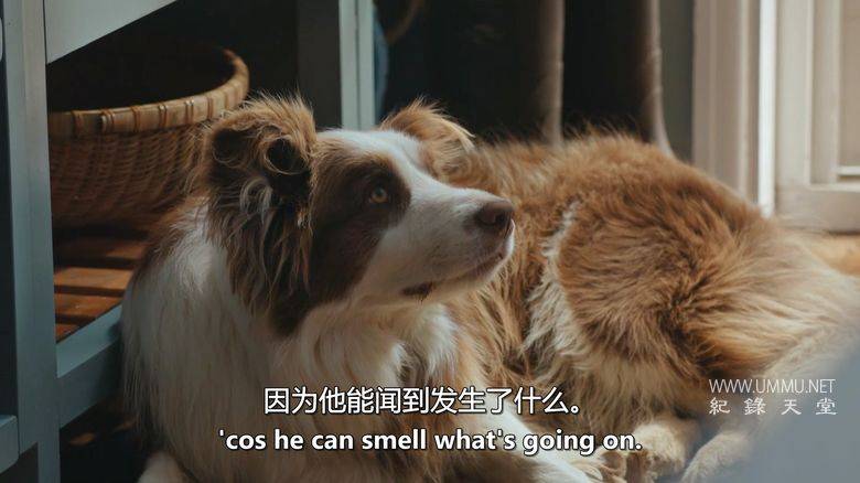 杰米的居家速食宝典 Jamie: Fast and Simple插图4