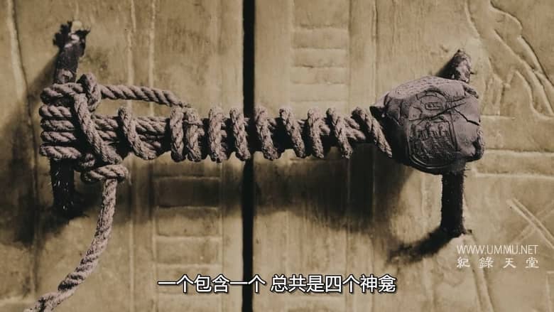 全彩少年法老 King Tut in Color插图5