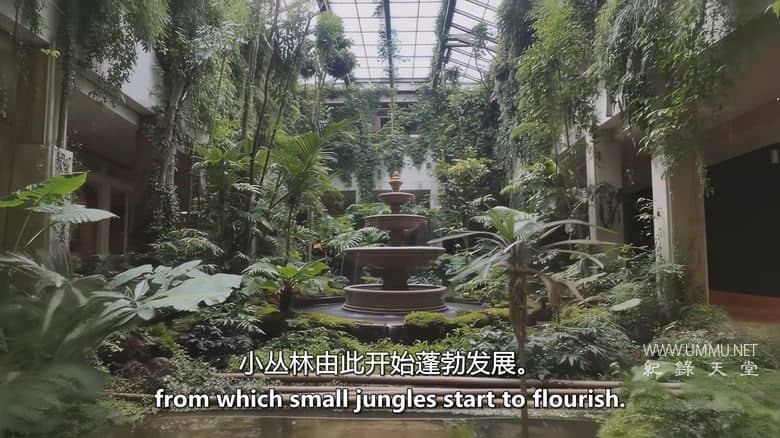 人类消失后的世界 第三季全8集 Life After People插图4