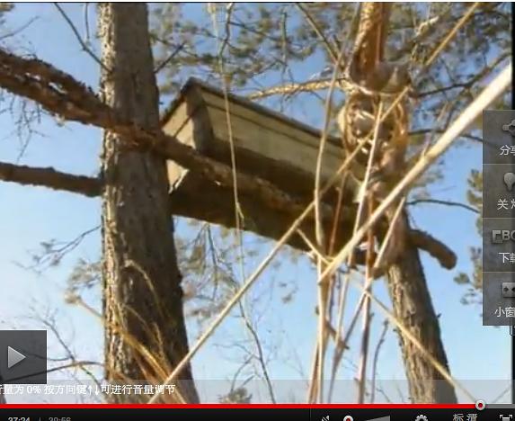 最后的山神插图7