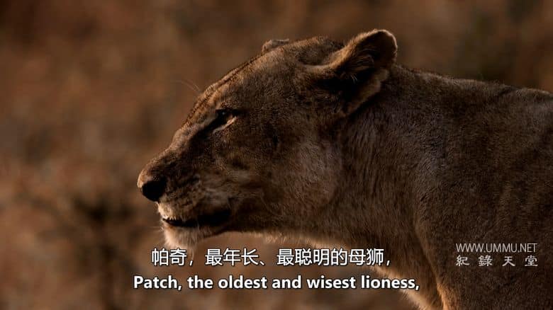 卡塔维 – 非洲的堕落天堂 Katavi – Africa's Fallen Paradise插图2