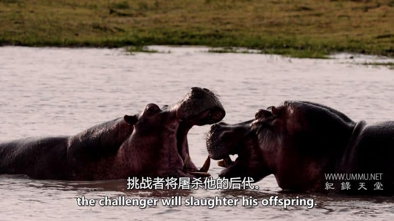 卡塔维 – 非洲的堕落天堂 Katavi – Africa's Fallen Paradise插图3