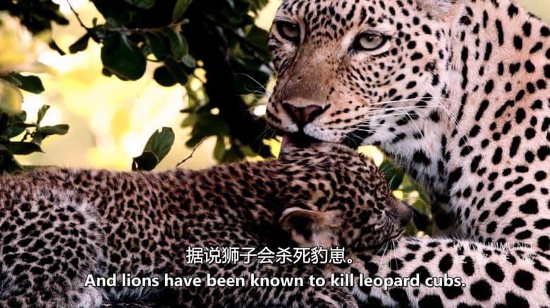 卡塔维 – 非洲的堕落天堂 Katavi – Africa's Fallen Paradise插图6