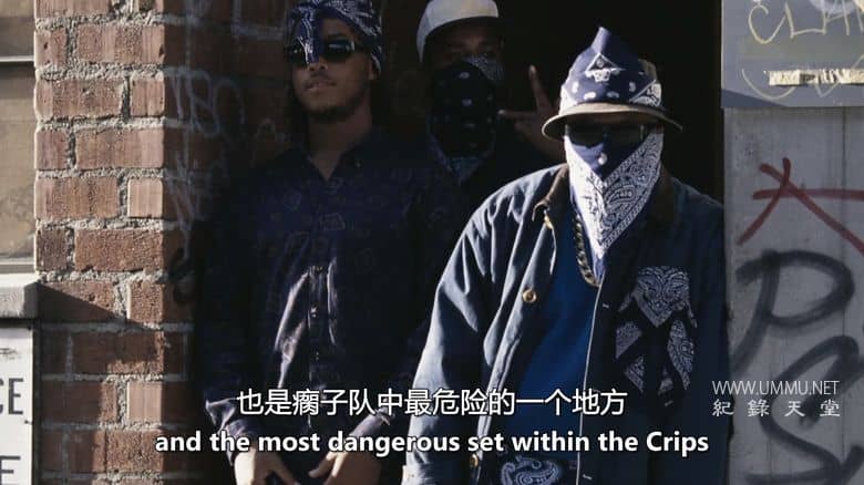 黑帮编年史 Gangland Chronicles插图6