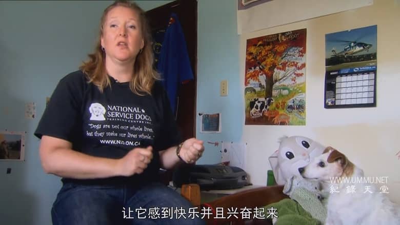 非凡的狗儿 Extraordinary Dogs插图4