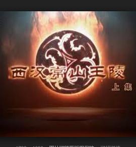 探索发现：西汉常山王陵插图