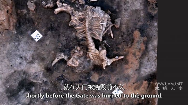 失落的圣经宝藏 Lost Treasures of the Bible插图7