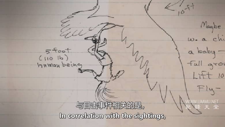 失落的怪物档案 Lost Monster Files插图1