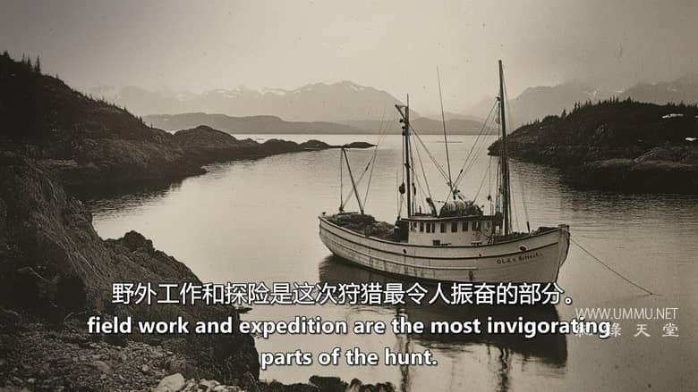 失落的怪物档案 Lost Monster Files插图5