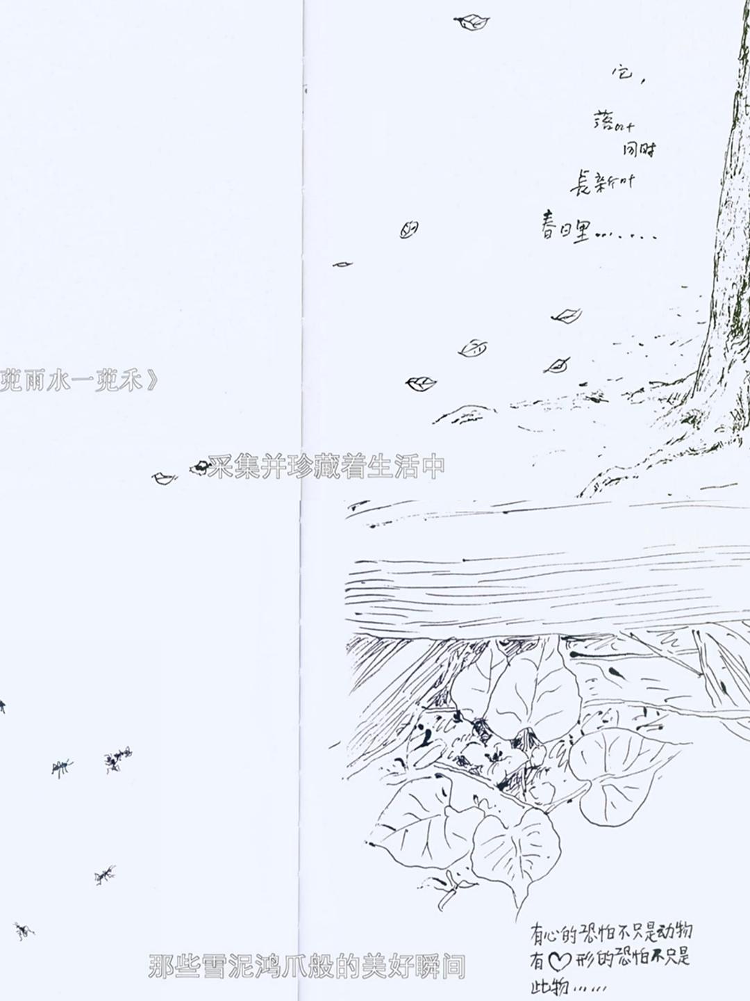 但是还有书籍 1-3季插图10