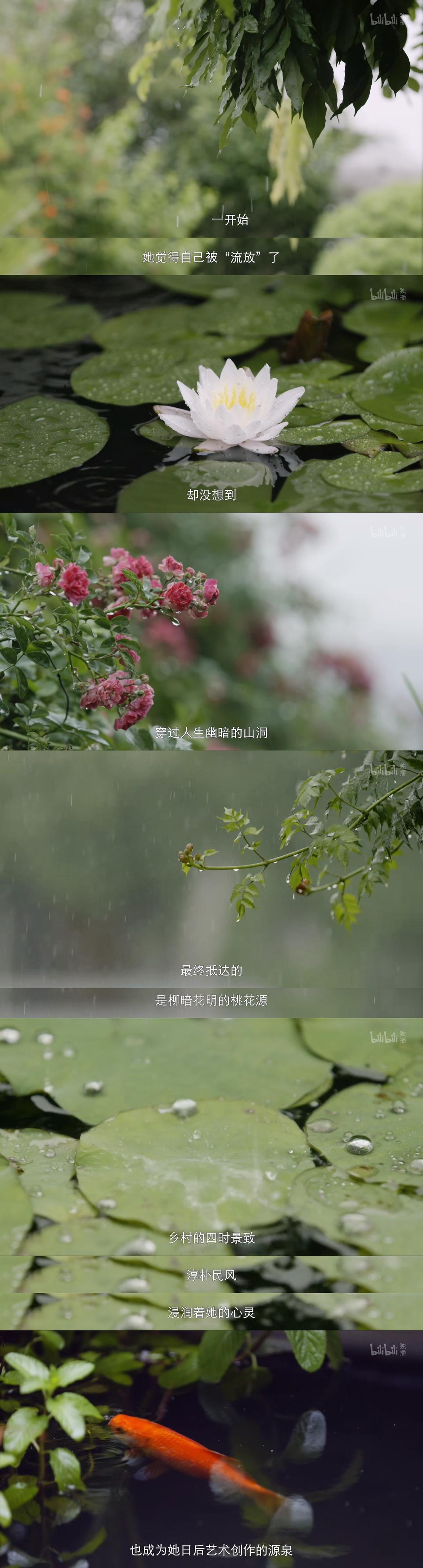 但是还有书籍 1-3季插图14