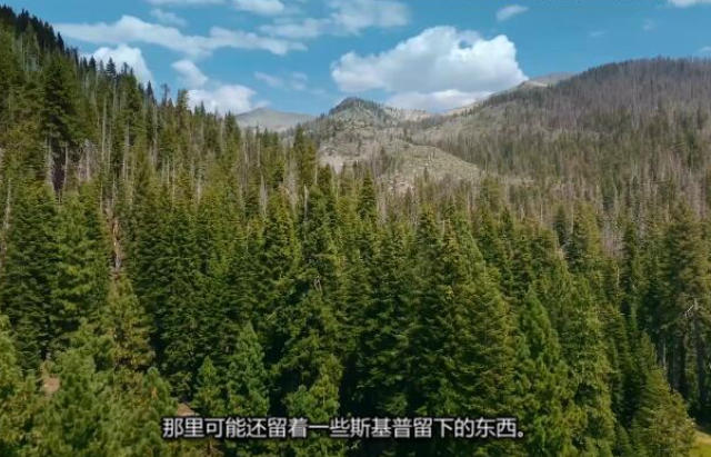 大脚怪带走了她 Bigfoot Took Her插图5