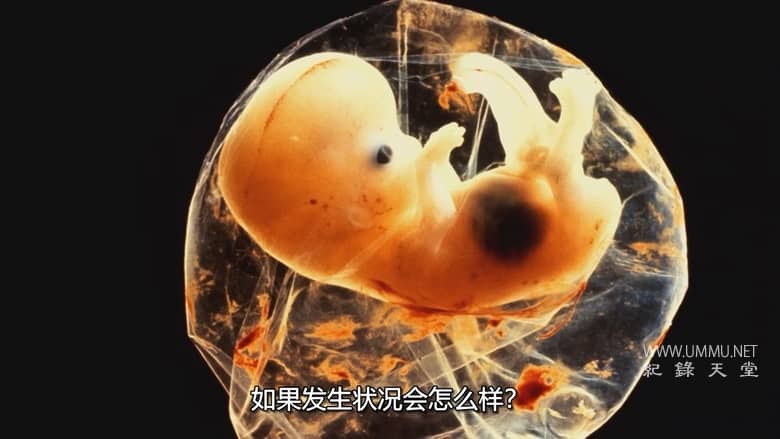 性别解码 Gender Revolution插图2