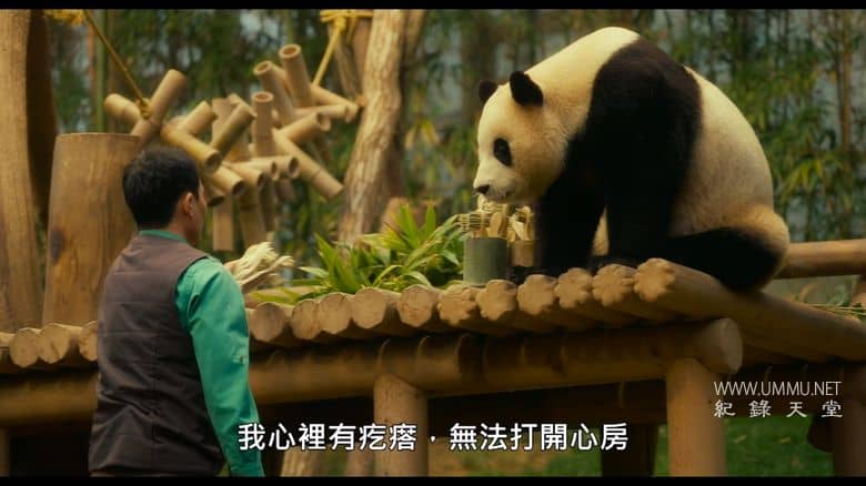 再见，福宝 My Dearest Fu Bao插图1