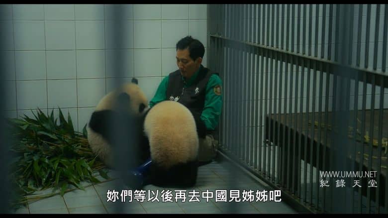 再见，福宝 My Dearest Fu Bao插图5