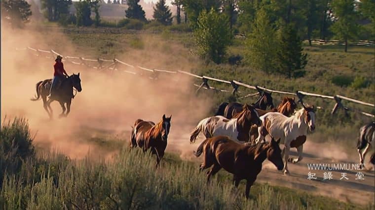 邪恶的西部谋杀案 Murder in the Wicked West插图1