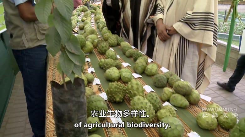 未来的食物 Future Food插图1