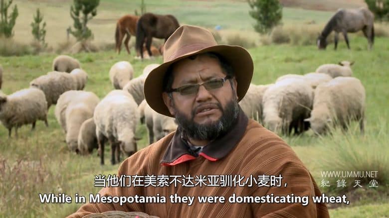 未来的食物 Future Food插图3