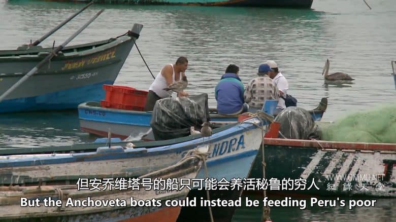 未来的食物 Future Food插图4