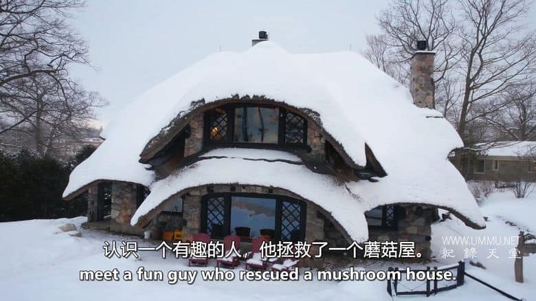 疯狂之家 House of What?!插图5