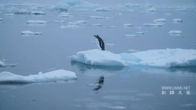 第七大洲：南极洲 Continent 7: Antarctica插图5