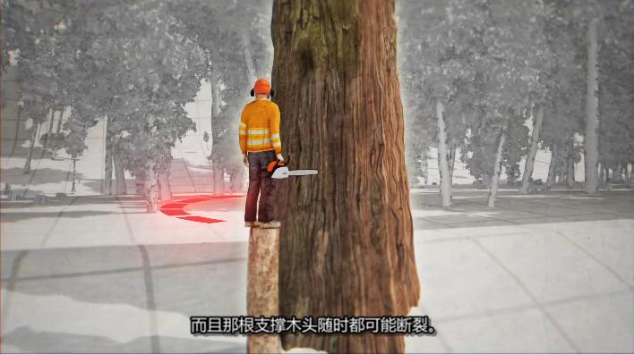 最后的伐木工 The Last Woodsmen插图4