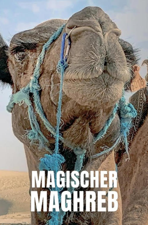 了不起的马格里布/“日落之地”马格里布 Magischer Maghreb 2019插图
