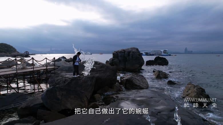 海洋守蔚者插图2