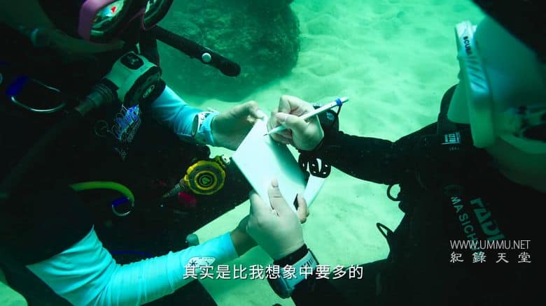 海洋守蔚者插图3