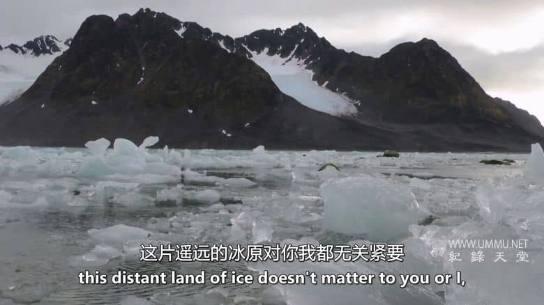 格陵兰岛：边缘生存 Greenland: Survival at the Edge插图2