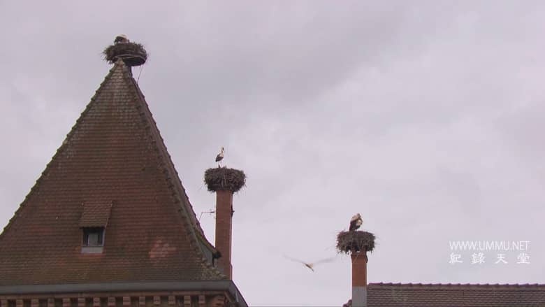 世界名胜 Great Places of the World插图2