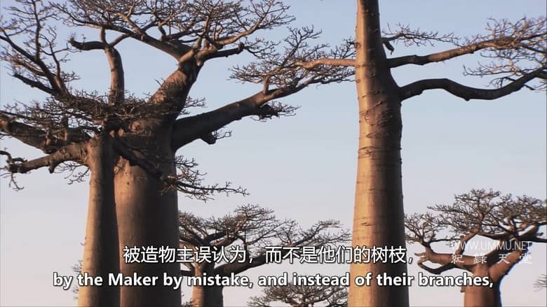 世界名胜 Great Places of the World插图3