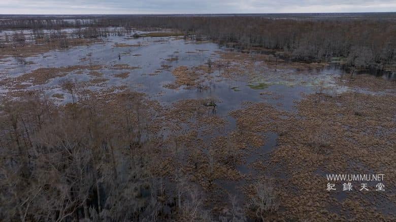 飓风卡崔娜：隐藏的伤痕 Hurricane Katrina: Race Against Time插图2