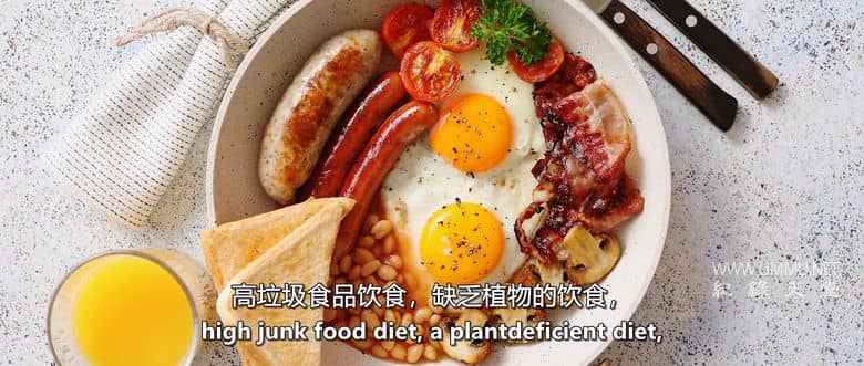 我永远不可能成为素食者 I Could Never Go Vegan插图1