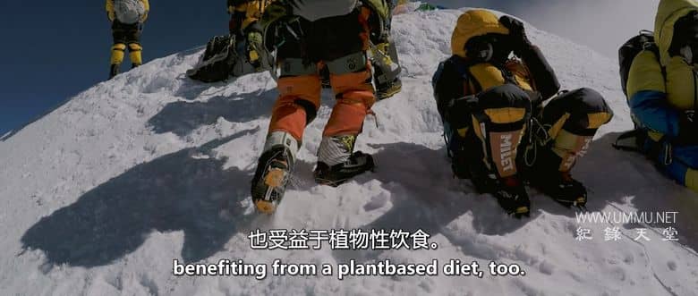 我永远不可能成为素食者 I Could Never Go Vegan插图3