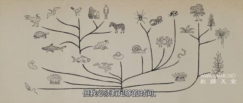 创世纪是历史吗？Is Genesis History?插图5