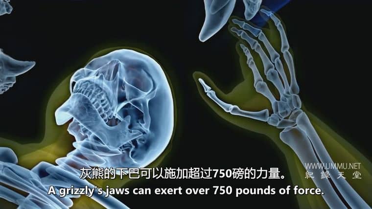 人类猎物 Human Prey插图2