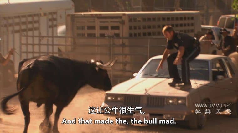 人类猎物 Human Prey插图7