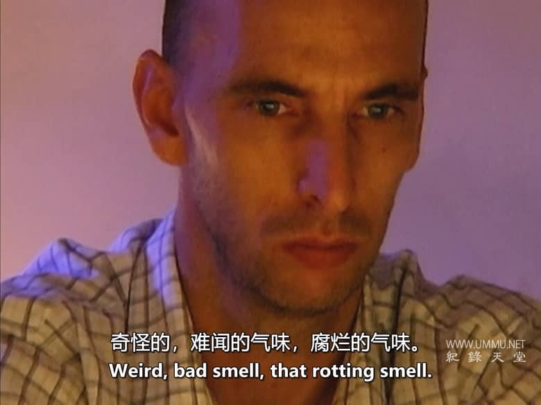 鬼屋 Haunted Homes 2004-2027插图4