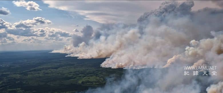 炽热 Incandescence插图1