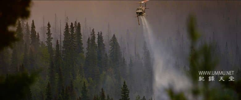 炽热 Incandescence插图5