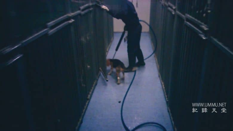 潜入禁地：动物实验的黑暗真相 Infiltrated in the Bunker插图1