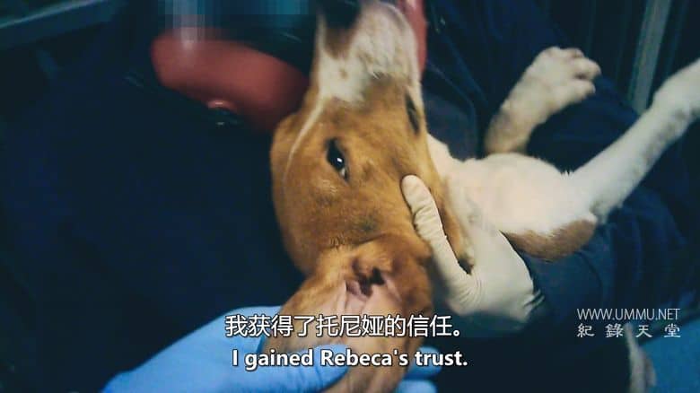 潜入禁地：动物实验的黑暗真相 Infiltrated in the Bunker插图3