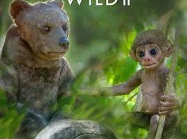 荒野间谍 第二季 Spy in the Wild Season 2