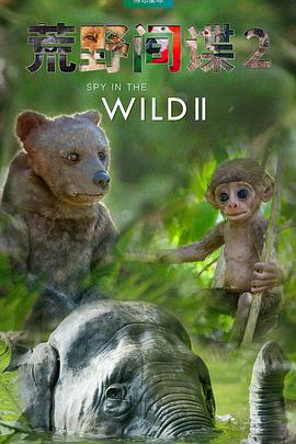 荒野间谍 第二季 Spy in the Wild Season 2插图