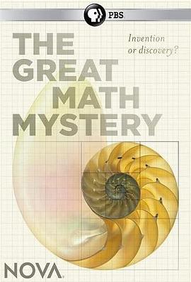 新星：数学大谜思 Nova:The Great Math Mystery插图
