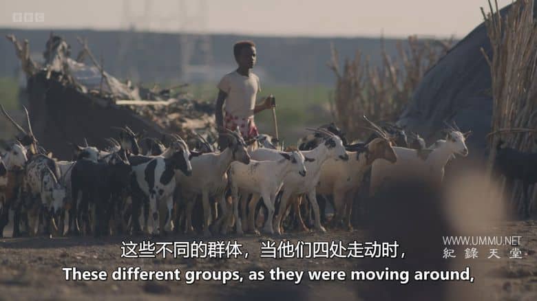 人类 2025 Human 2025插图2